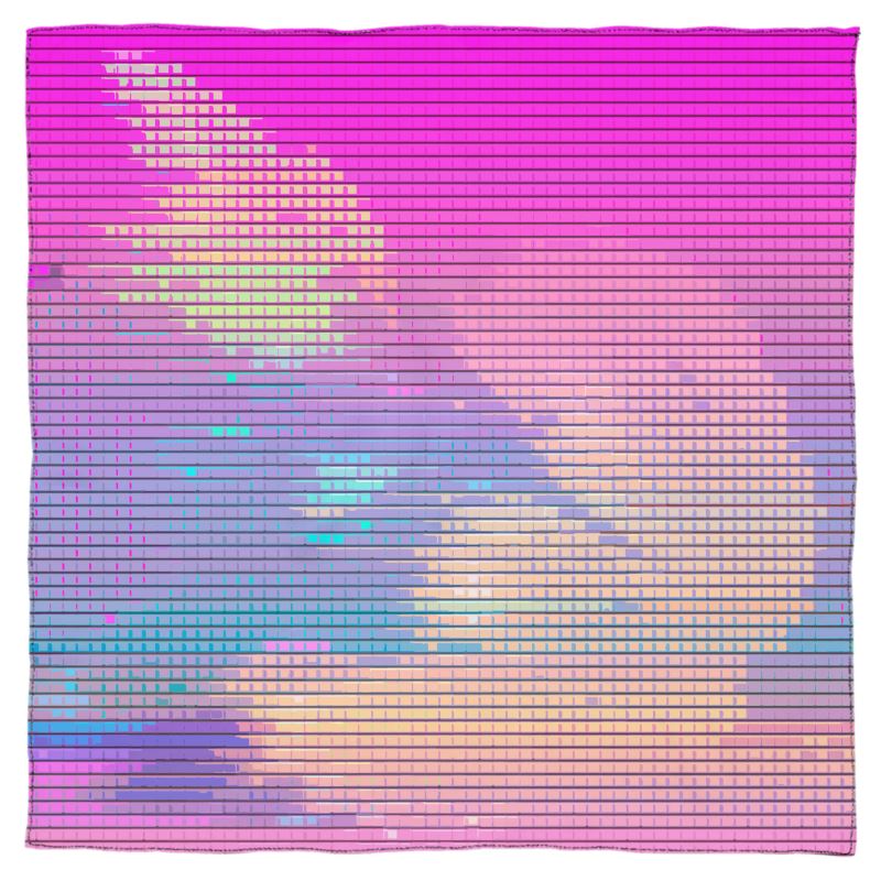 Scarf Wrap or Shawl